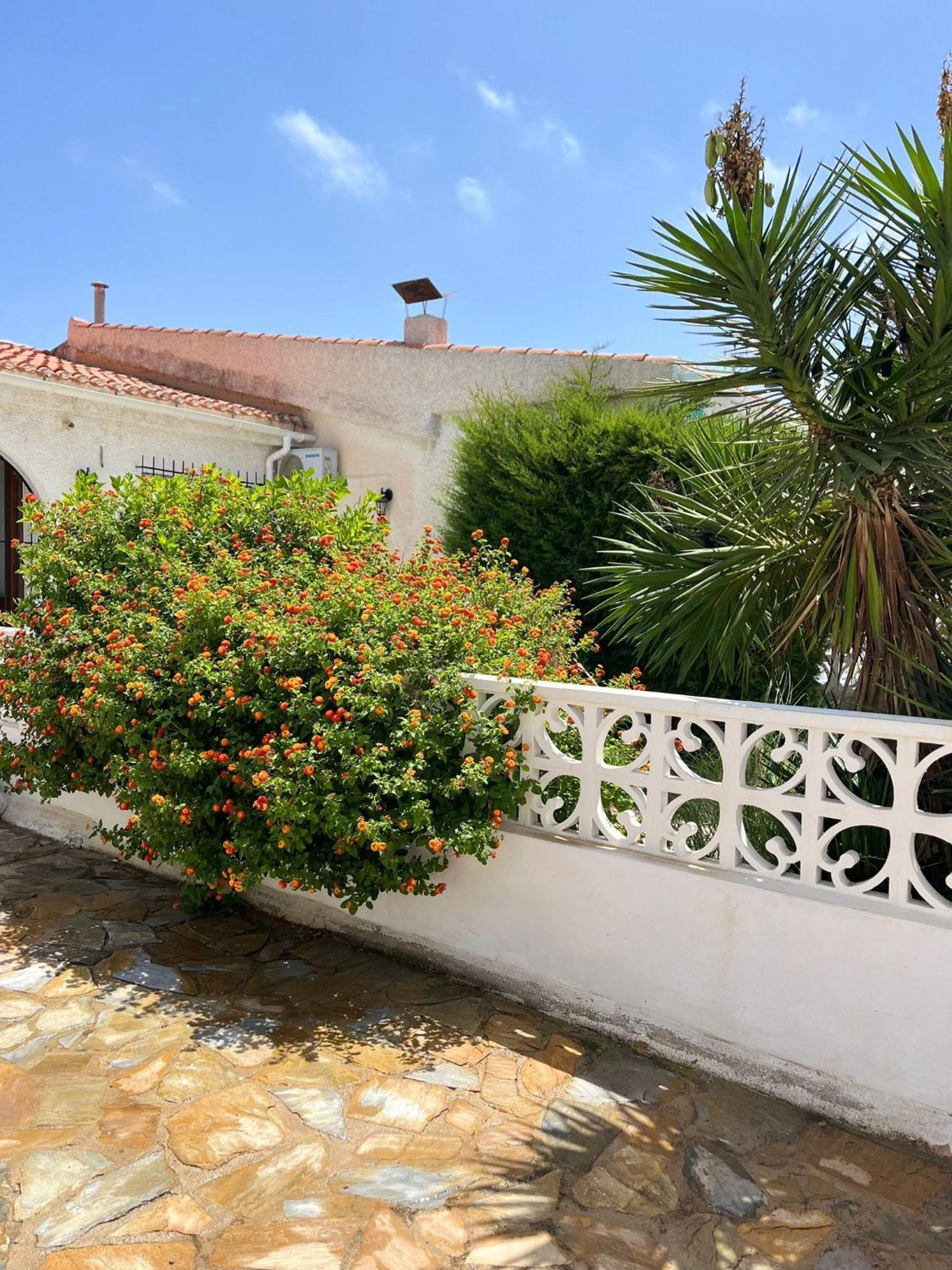 Holiday Apartments Torrevieja Exterior foto